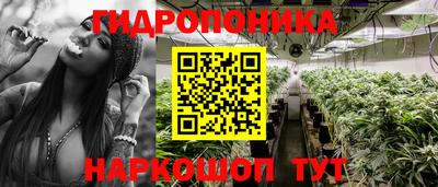 гашиш Гатчина