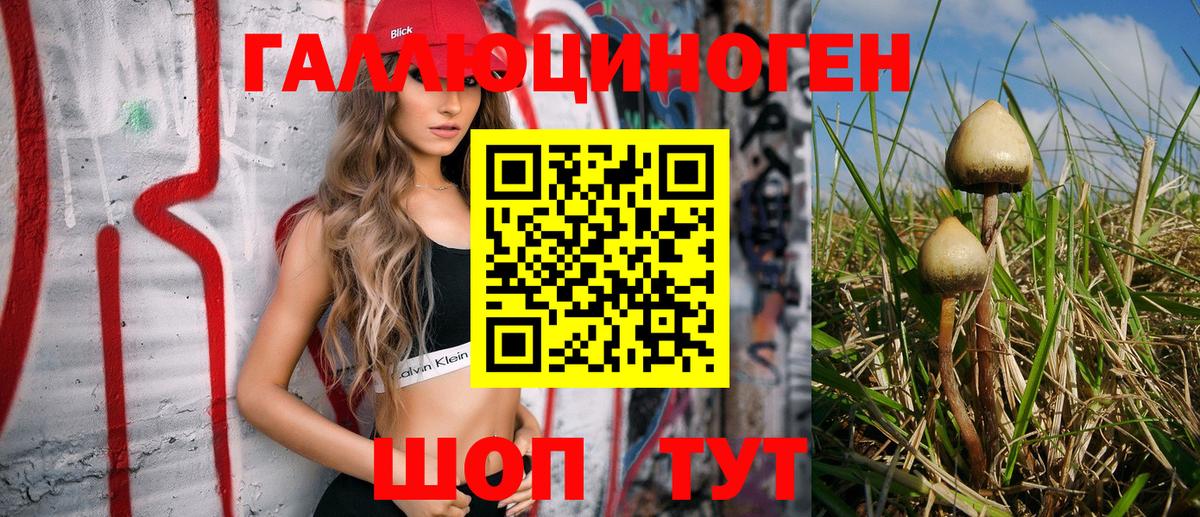 Удомля  Псилоцибиновые грибы GOLDEN TEACHER  Вход с VPN 