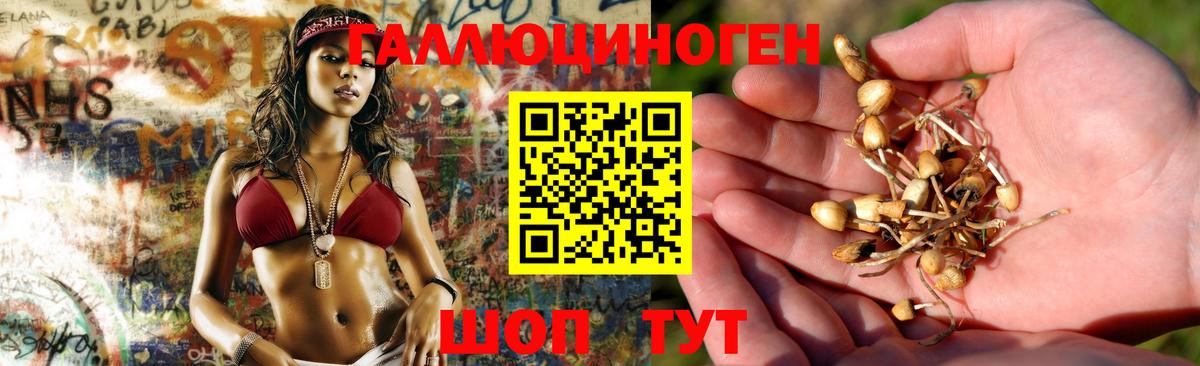 Псилоцибиновые грибы мухоморы Удомля